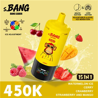 BANG LEADER 450K 15 in 1 Vape
